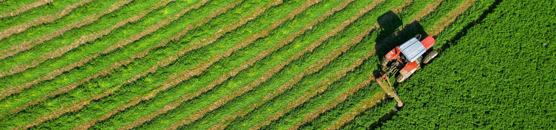 Agriculture